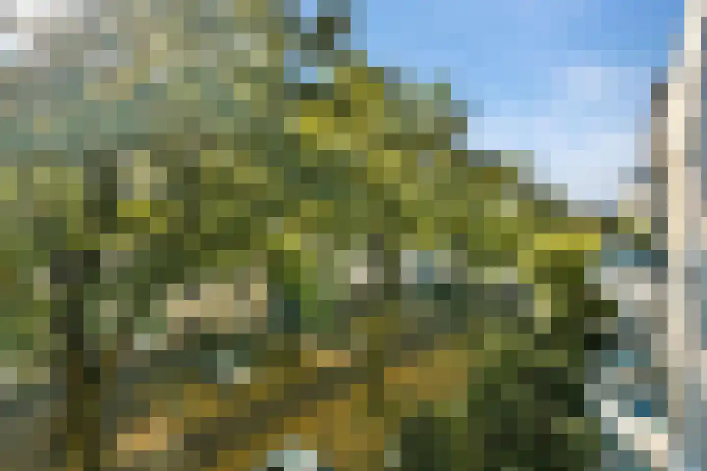 Krooswijkhof 22 Amsterdam thumbnail 6