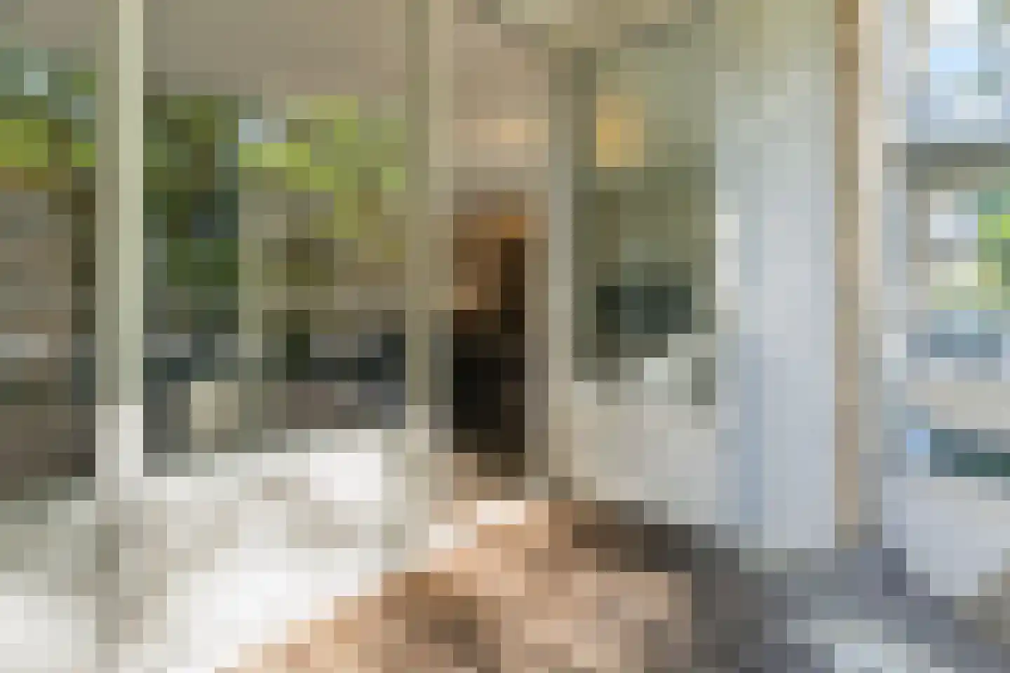 Krooswijkhof 27 Amsterdam thumbnail 34