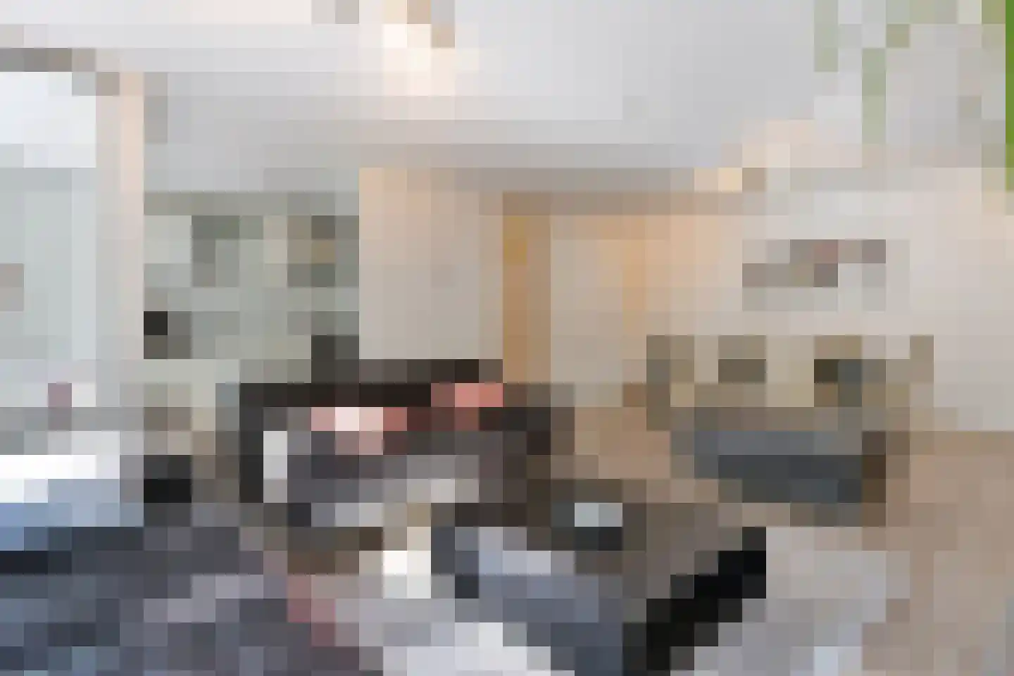 Krooswijkhof 27 Amsterdam thumbnail 5