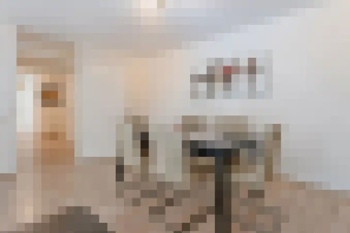 Krooswijkhof 27 Amsterdam thumbnail 8