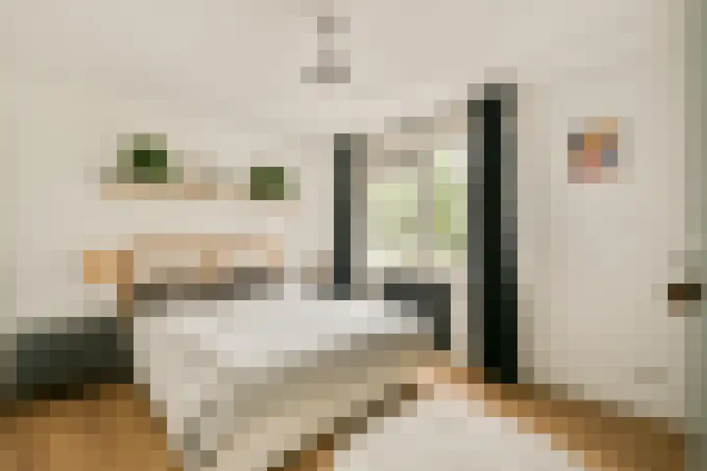 Krooswijkhof 28 Amsterdam thumbnail 12