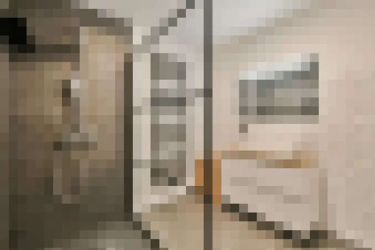 Krooswijkhof 28 Amsterdam thumbnail 14