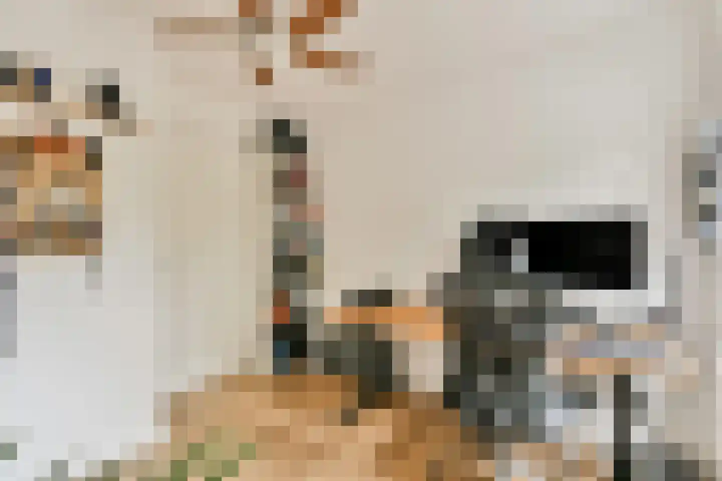 Krooswijkhof 28 Amsterdam thumbnail 18
