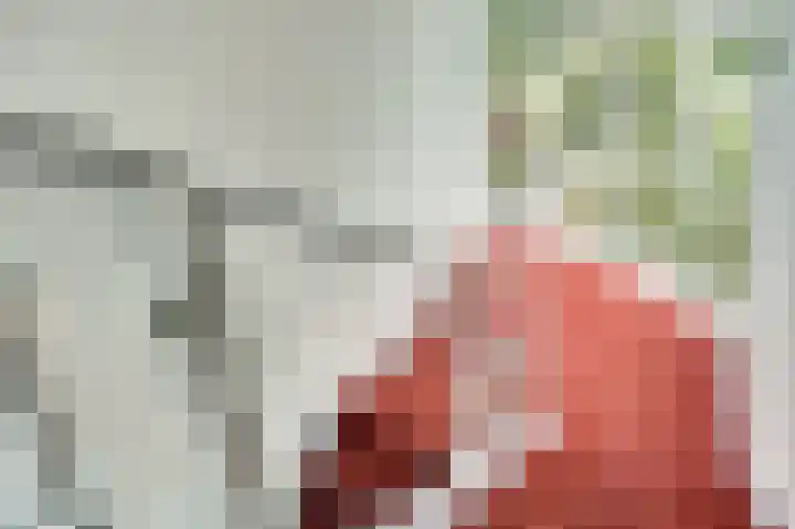 Krooswijkhof 35 Amsterdam thumbnail 11