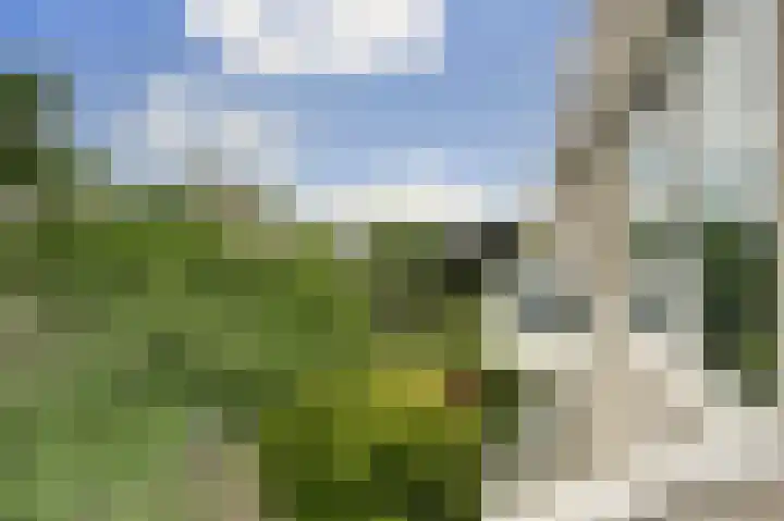 Krooswijkhof 35 Amsterdam thumbnail 24