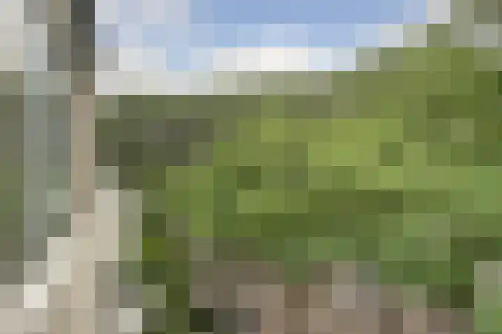 Krooswijkhof 35 Amsterdam thumbnail 25