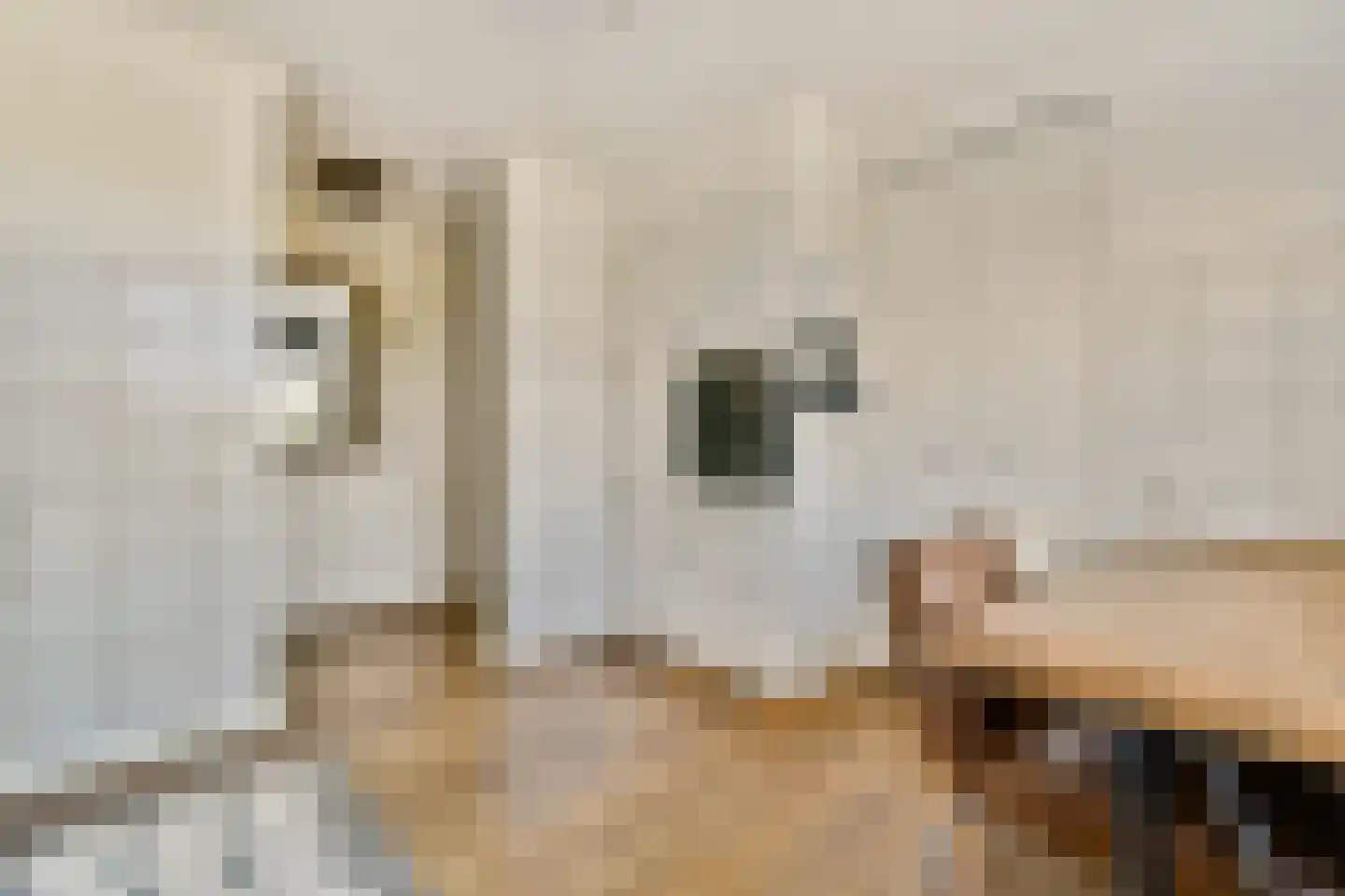 Krooswijkhof 43 Amsterdam thumbnail 13