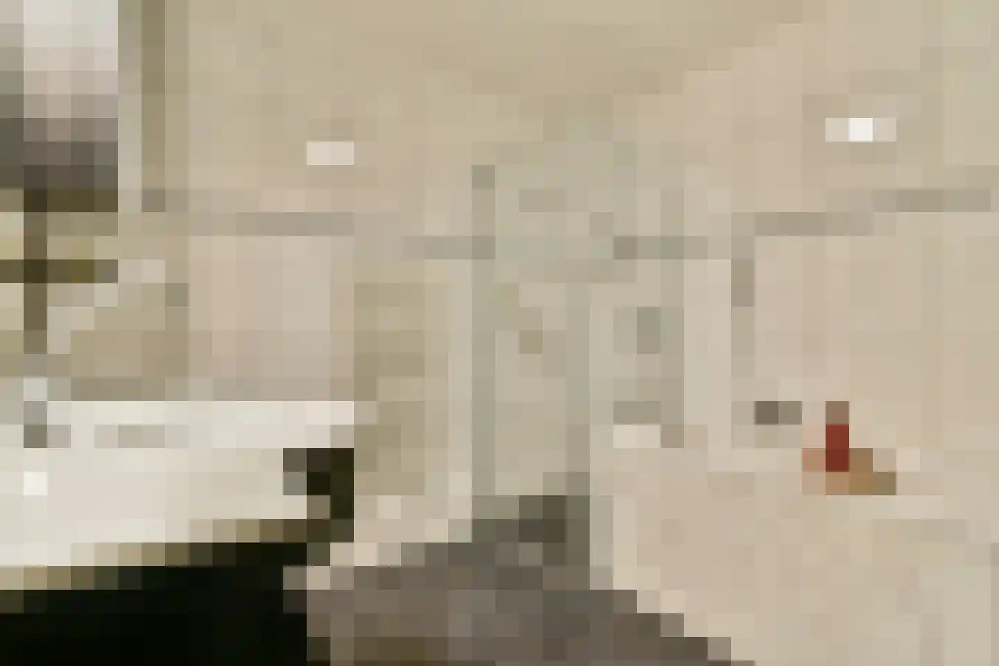 Krooswijkhof 43 Amsterdam thumbnail 18