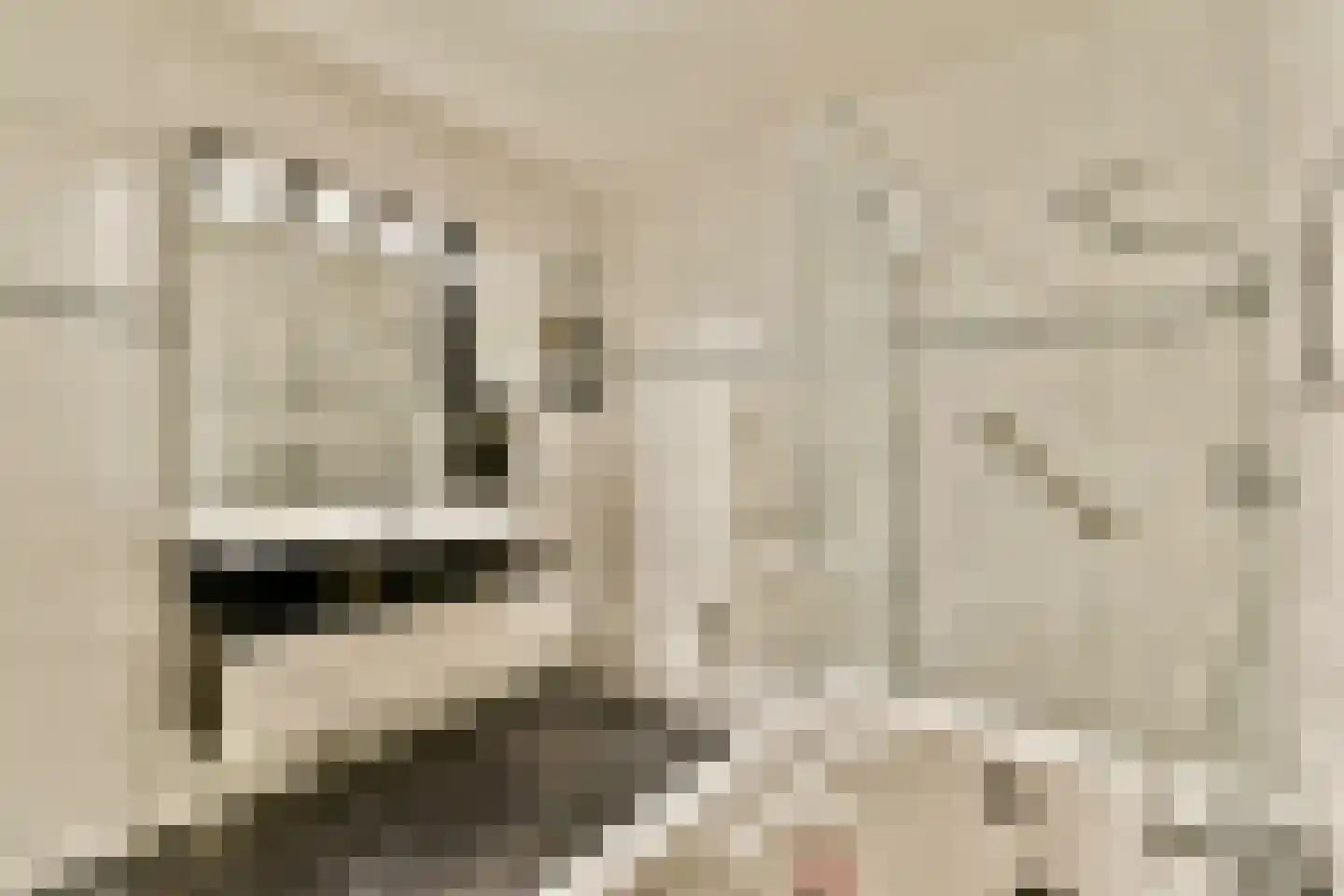 Krooswijkhof 43 Amsterdam thumbnail 19