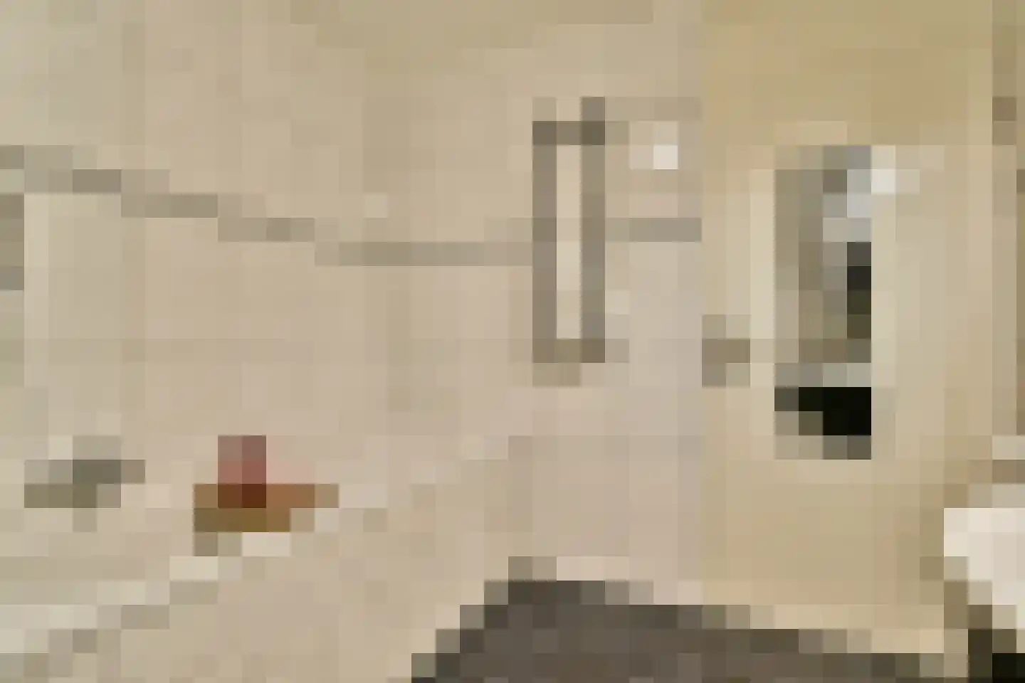 Krooswijkhof 43 Amsterdam thumbnail 20