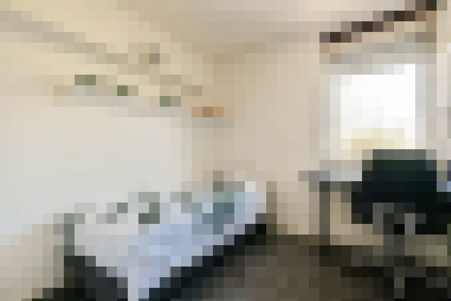 Krooswijkhof 43 Amsterdam thumbnail 21
