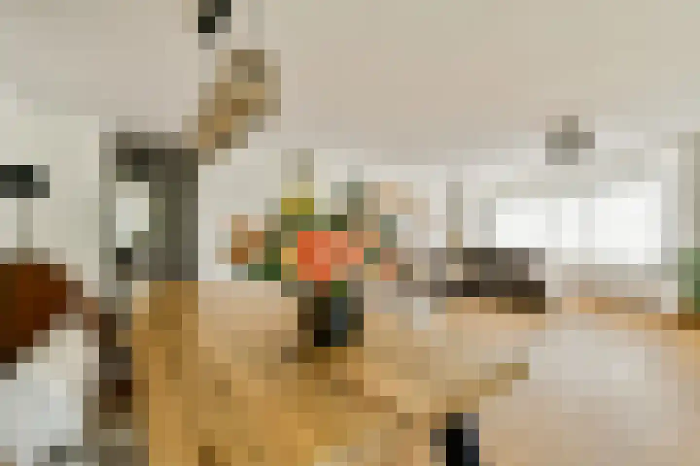Krooswijkhof 43 Amsterdam thumbnail 4