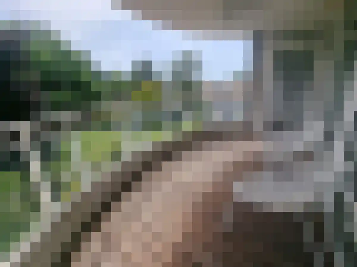 Krooswijkhof 76 Amsterdam thumbnail 5
