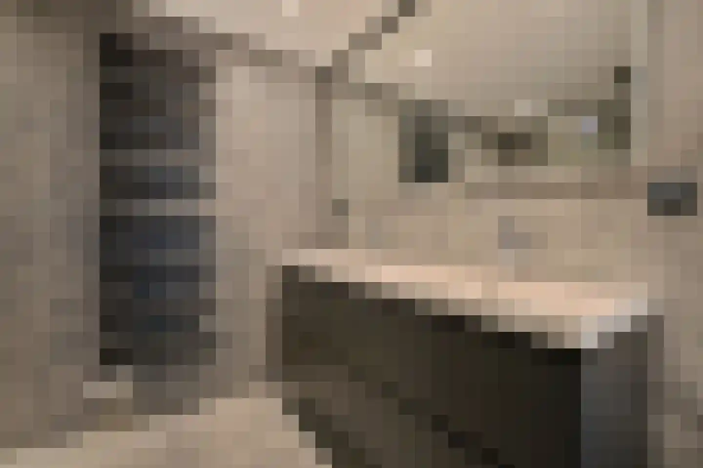 Krooswijkhof 9 Amsterdam thumbnail 14