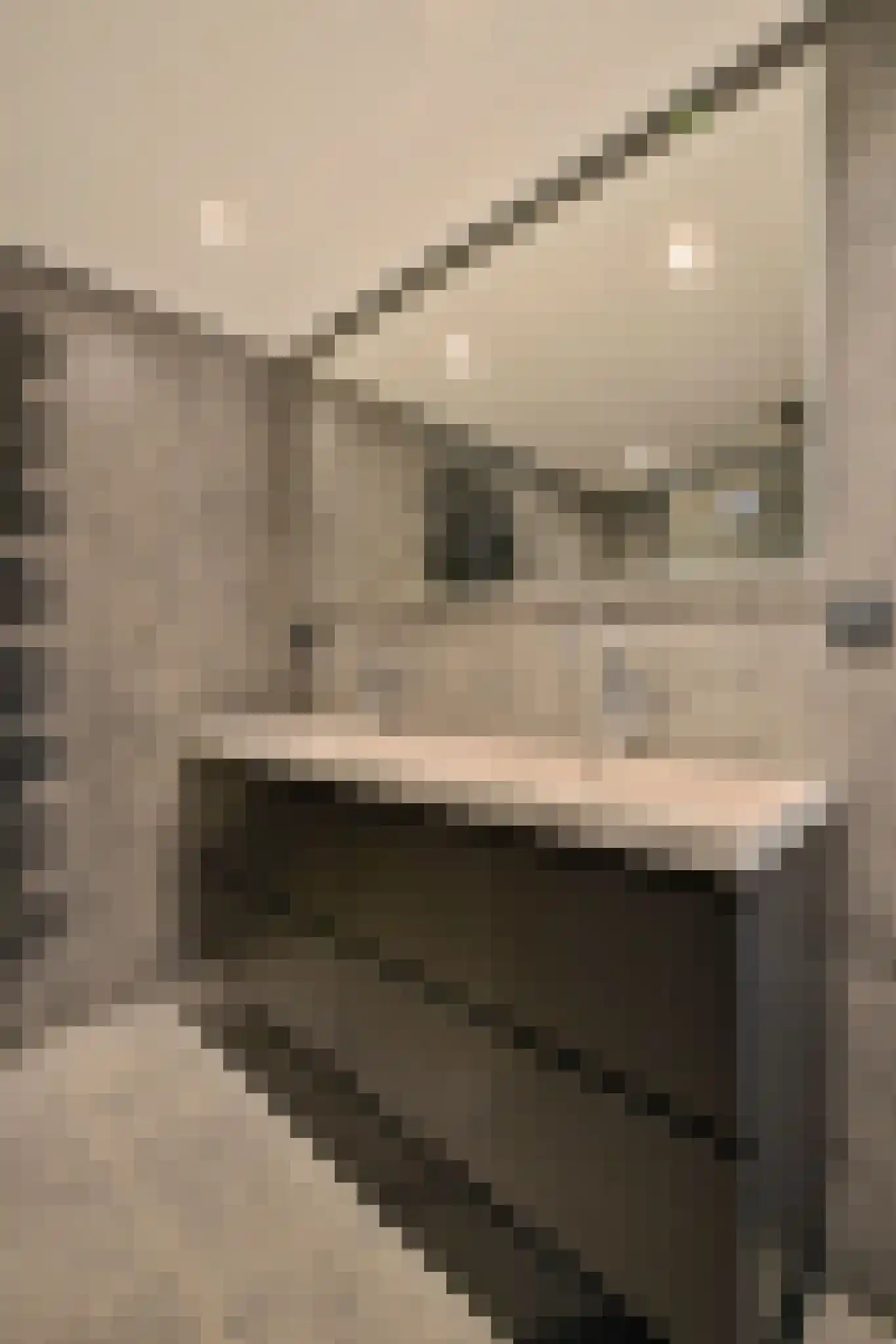 Krooswijkhof 9 Amsterdam thumbnail 15