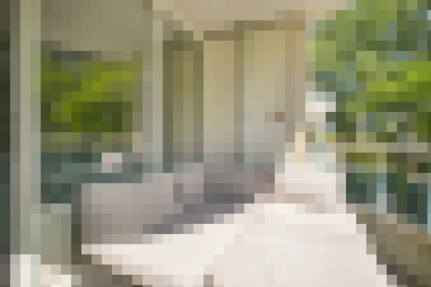 Krooswijkhof 9 Amsterdam thumbnail 24