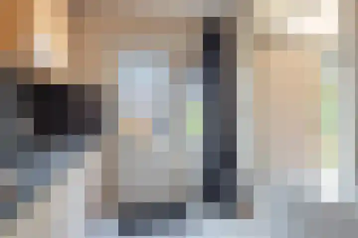Kropaar 11 Eemnes thumbnail 16