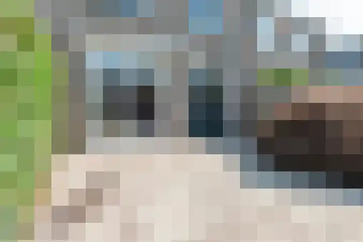 Kropaar 11 Eemnes thumbnail 31