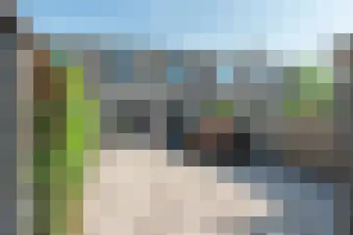 Kropaar 11 Eemnes thumbnail 38