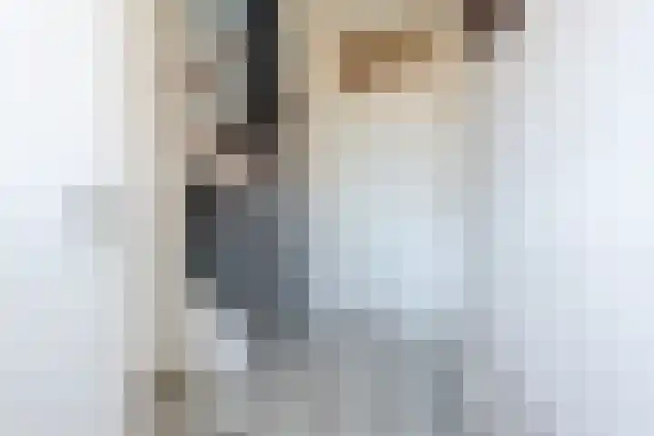 Kropaar 11 Eemnes thumbnail 6