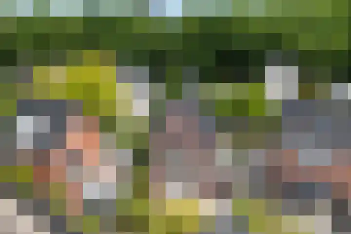 Krophollerlaan 4 Doetinchem thumbnail 10