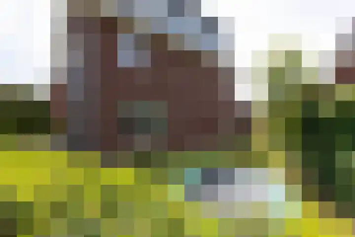 Krophollerlaan 4 Doetinchem thumbnail 12