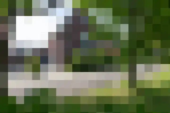 Krophollerlaan 4 Doetinchem thumbnail 13