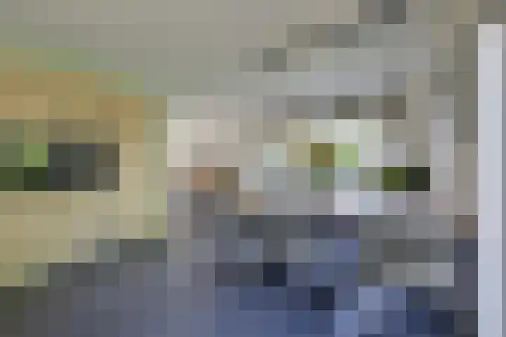 Krophollerlaan 4 Doetinchem thumbnail 22
