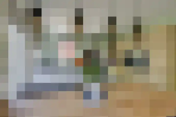 Krophollerlaan 4 Doetinchem thumbnail 24