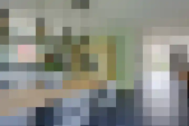 Krophollerlaan 4 Doetinchem thumbnail 27
