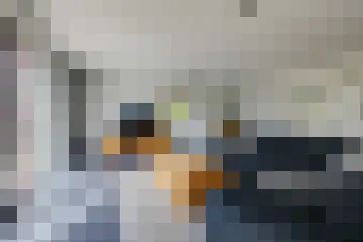 Krophollerlaan 4 Doetinchem thumbnail 29