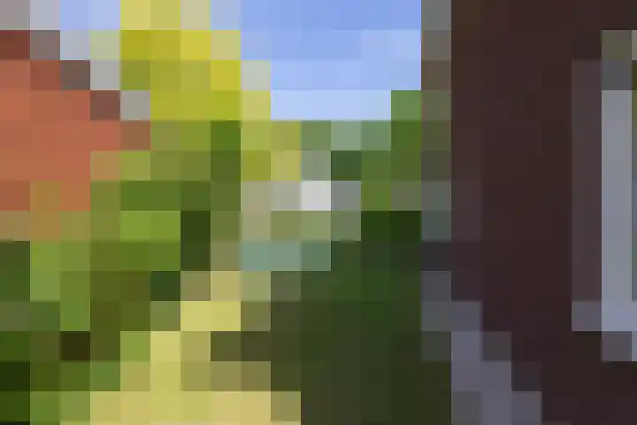 Krophollerlaan 4 Doetinchem thumbnail 41