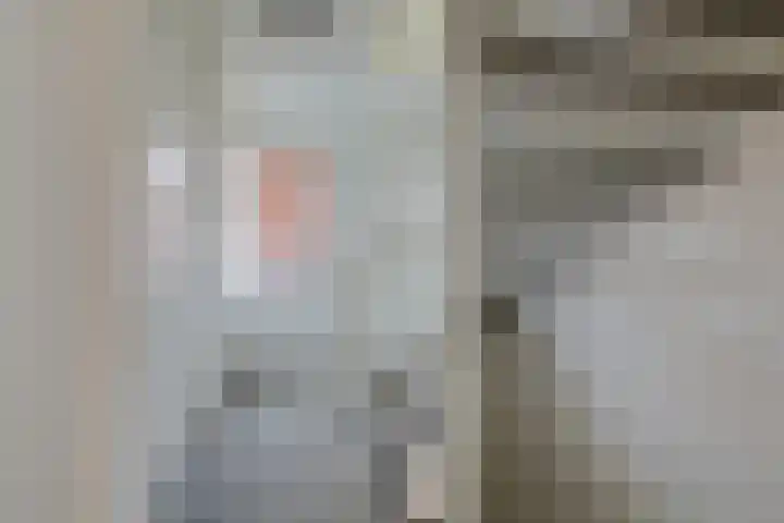 Krophollerlaan 4 Doetinchem thumbnail 47