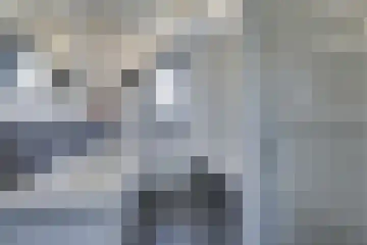 Krophollerlaan 4 Doetinchem thumbnail 48