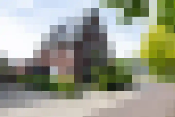 Krophollerlaan 4 Doetinchem thumbnail 6