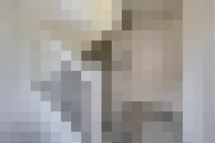 Krophollerlaan 4 Doetinchem thumbnail 60