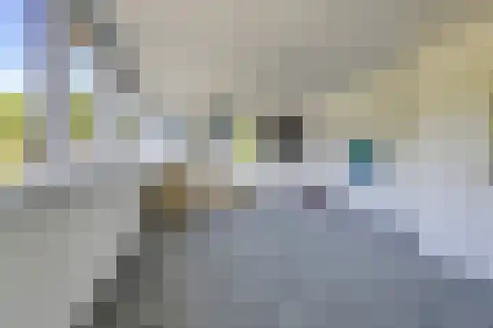 Krophollerlaan 4 Doetinchem thumbnail 63