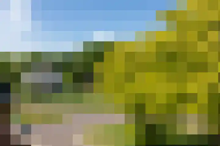 Krophollerlaan 4 Doetinchem thumbnail 67