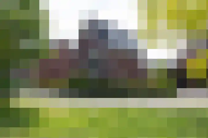 Krophollerlaan 4 Doetinchem thumbnail 75