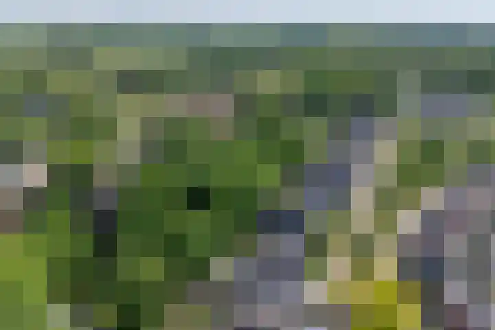 Krophollerlaan 4 Doetinchem thumbnail 8