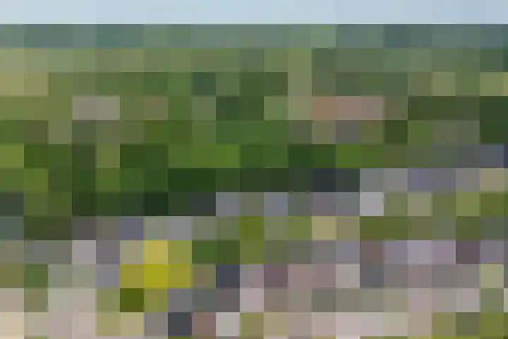 Krophollerlaan 4 Doetinchem thumbnail 9