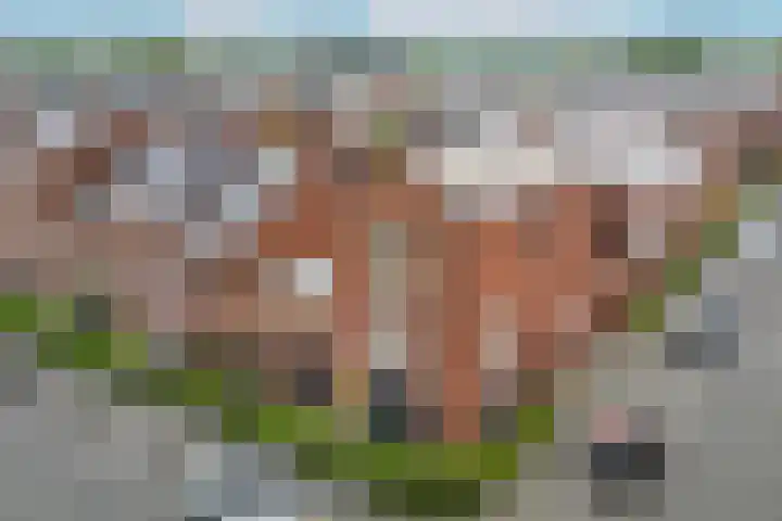 Krophollerstraat 10 Utrecht thumbnail 38