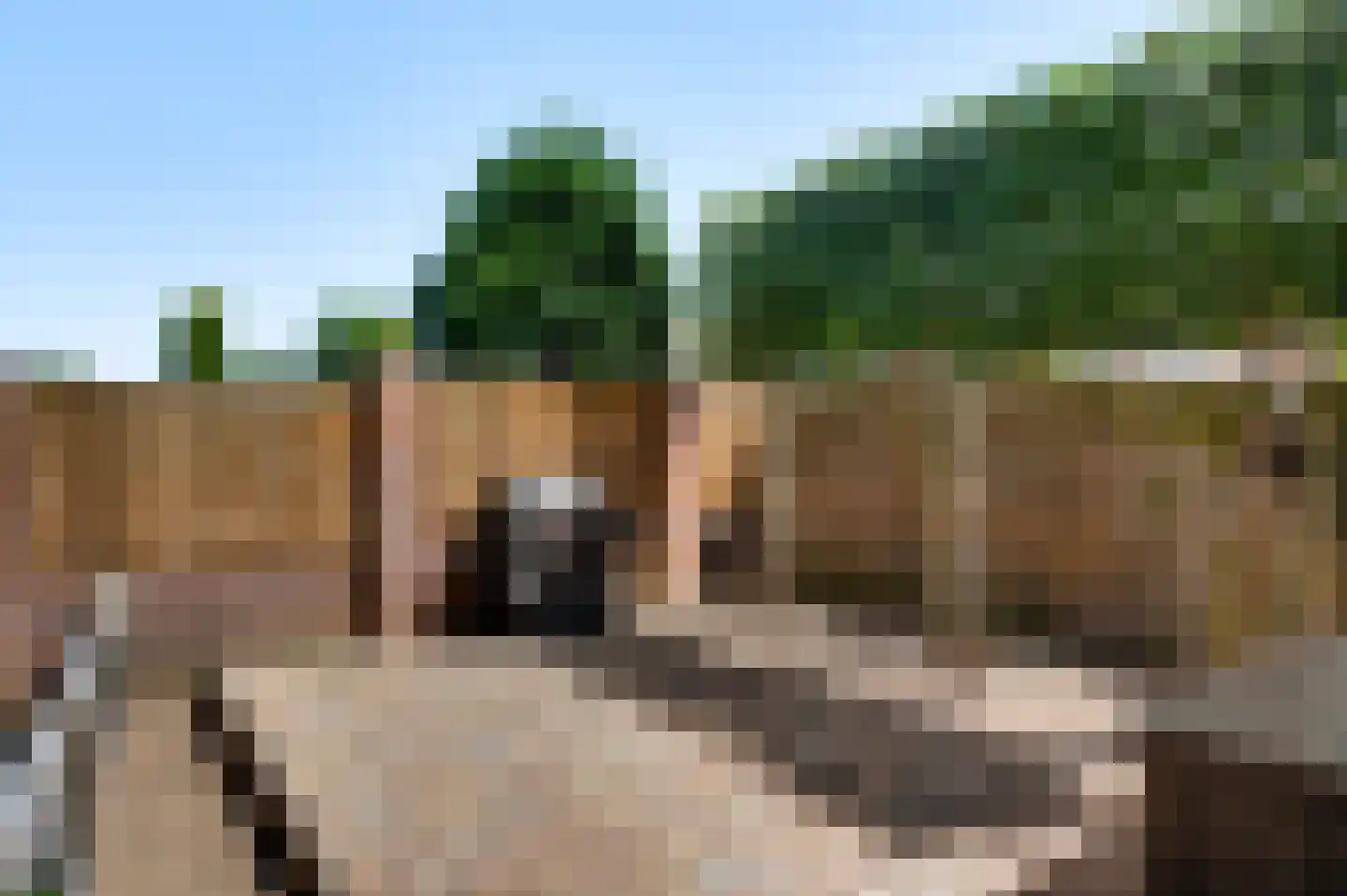 Kroppestraat 48 Swalmen thumbnail 22