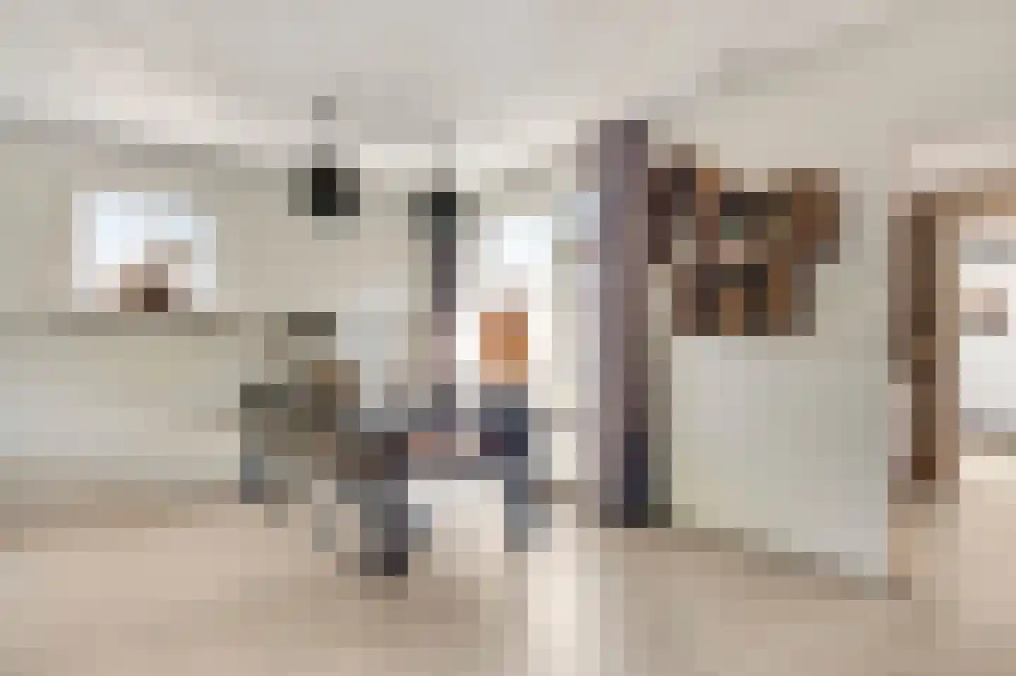 Kroppestraat 48 Swalmen thumbnail 7