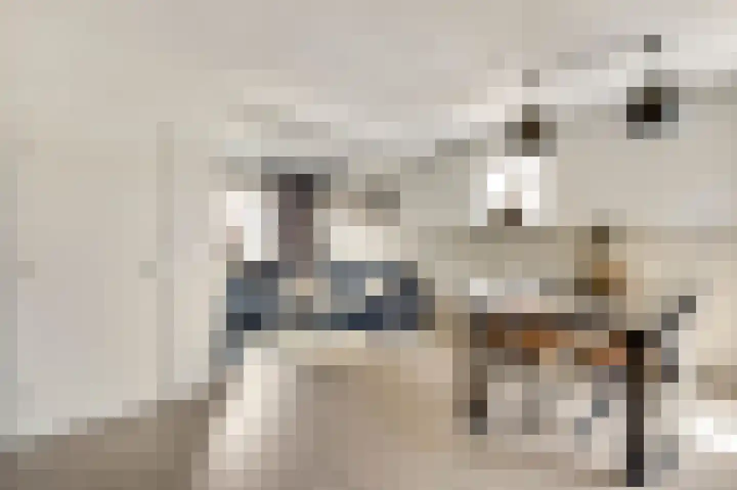 Kroppestraat 48 Swalmen thumbnail 8