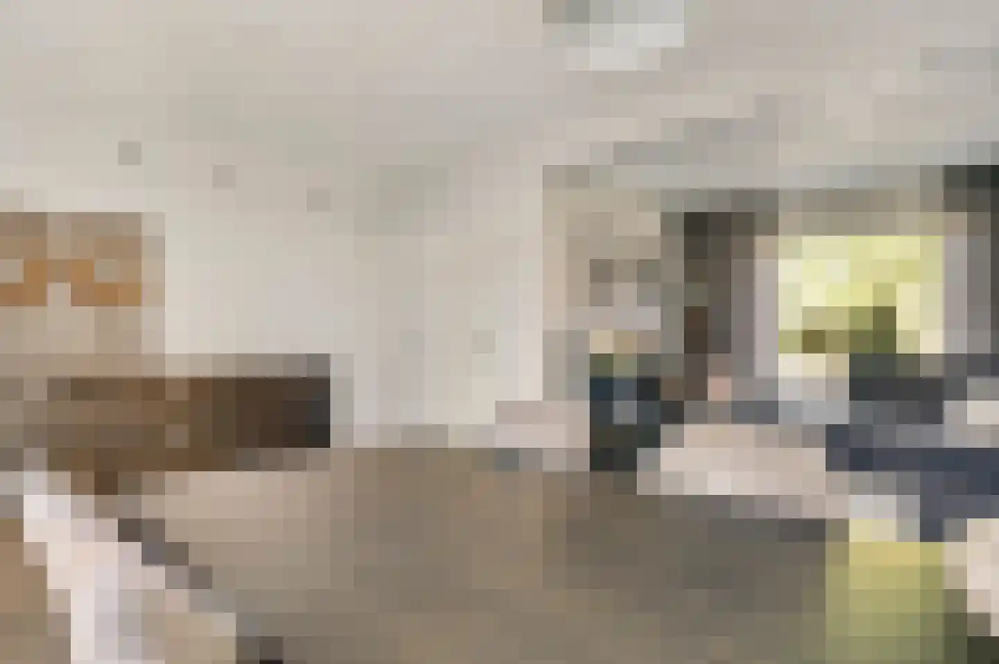 Kroppestraat 48 Swalmen thumbnail 9