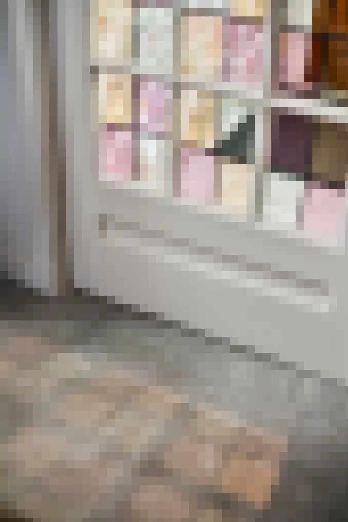 Kroppestraat 67 Swalmen thumbnail 13