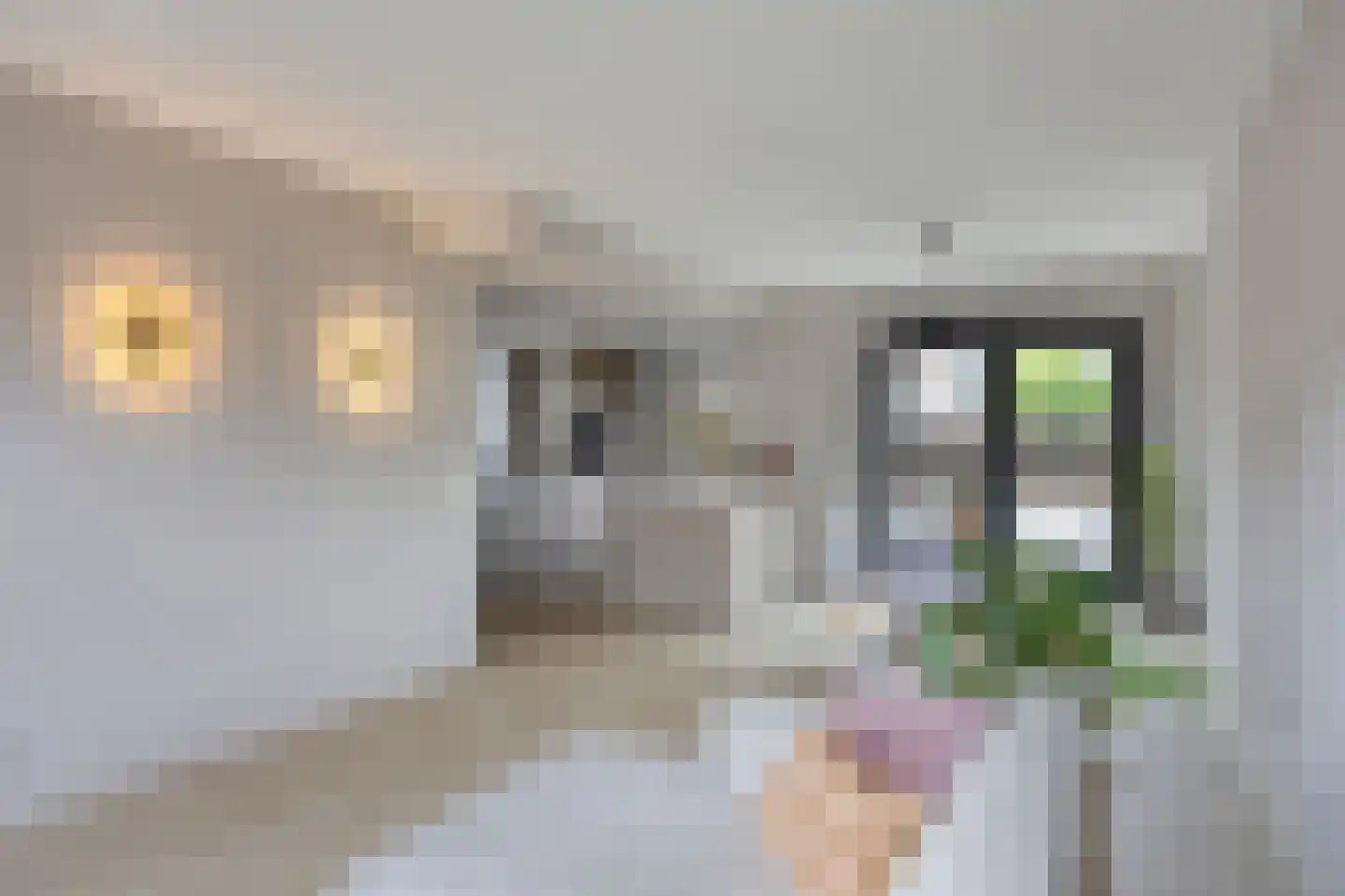 Kroppestraat 67 Swalmen thumbnail 17
