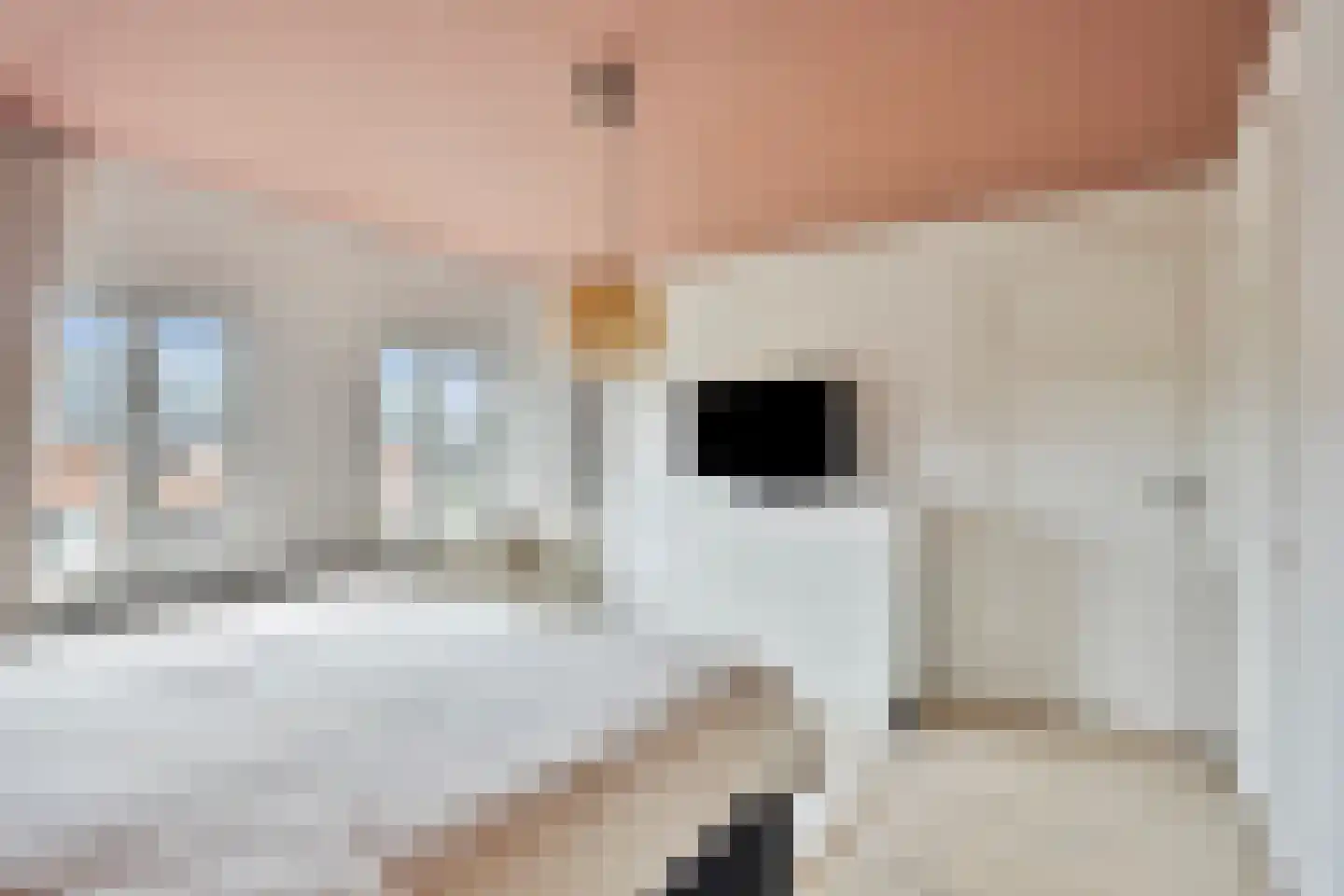 Kroppestraat 67 Swalmen thumbnail 36
