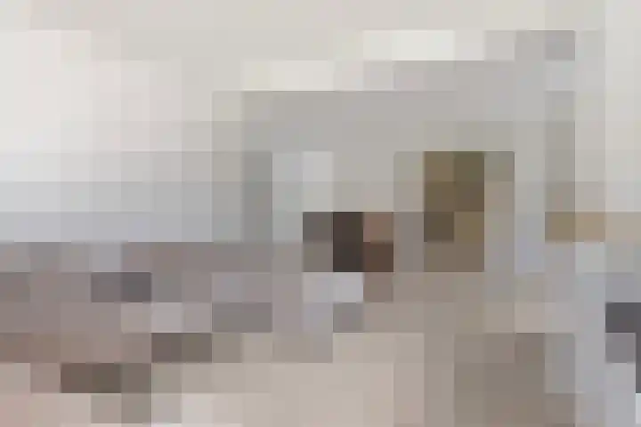 Kroppestraat 71 Swalmen thumbnail 12